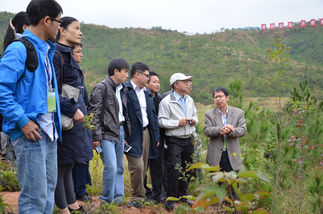 海峽兩岸專家團隊長汀調(diào)研
