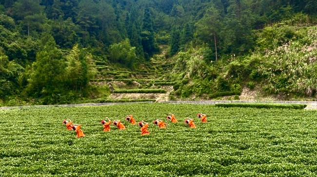 實景沉浸式的環(huán)境舞蹈