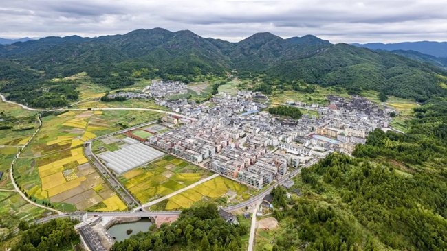 禮門鄉(xiāng)全景。陳兆瑜攝