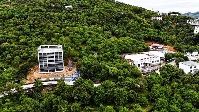 福建省青欖食品有限公司橄欖園。工行福州閩清支行供圖