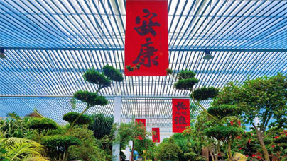 閩西小鎮(zhèn)藏著“杜鵑花王國(guó)”走進(jìn)“中國(guó)杜鵑花之鄉(xiāng)”福建省龍巖漳平市永福鎮(zhèn)，三藤杜鵑生態(tài)莊園內(nèi)的上百株杜鵑花枝繁葉茂、形態(tài)各異，令人賞心悅目。