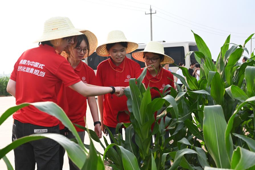 廈門大學(xué)學(xué)生在田間地頭調(diào)研實(shí)踐