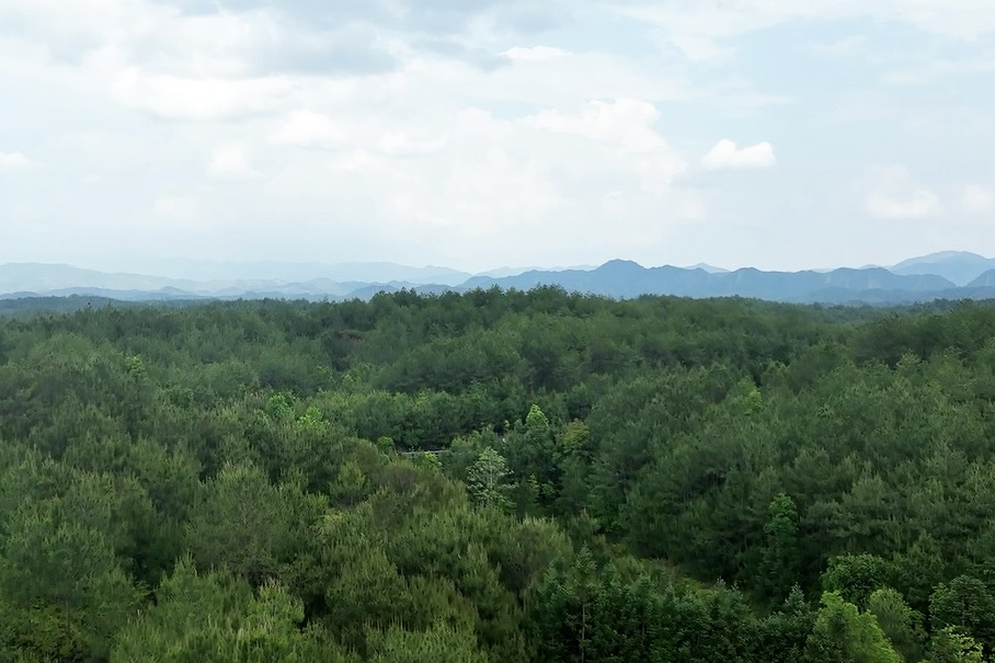 長汀縣羅地草山（2022年）。長汀縣水土保持中心供圖