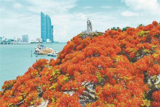廈門是一座高素質(zhì)高顏值現(xiàn)代化國際化的城市。圖為鷺江兩岸美景。記者 林銘鴻攝