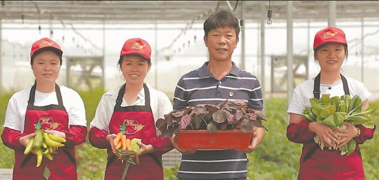 莊家寶蔬菜專業(yè)合作社的生態(tài)特色農(nóng)產(chǎn)品。受訪單位供圖